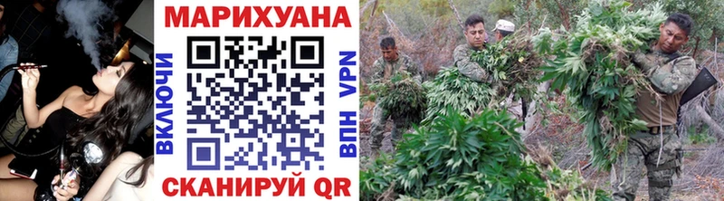 что такое   Вышний Волочёк  Конопля планчик 